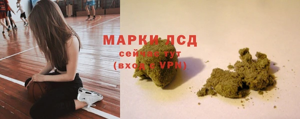 крисы Аркадак