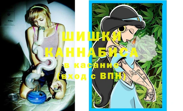 крисы Аркадак