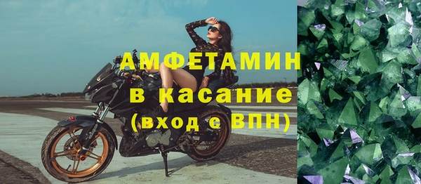 крисы Аркадак