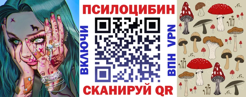 Псилоцибиновые грибы GOLDEN TEACHER  Бакал 